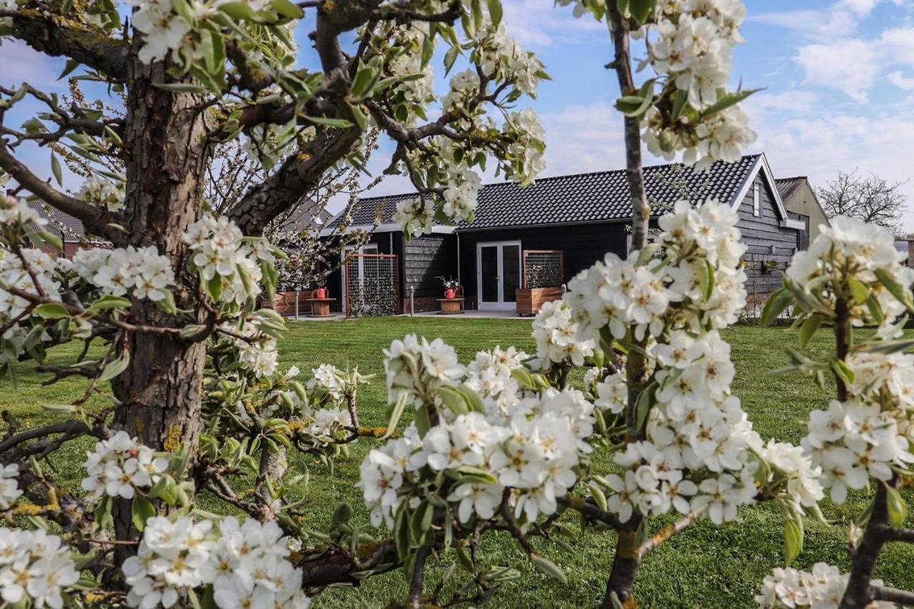 B&B Buutegeweun Sommelsdijk Exterior foto